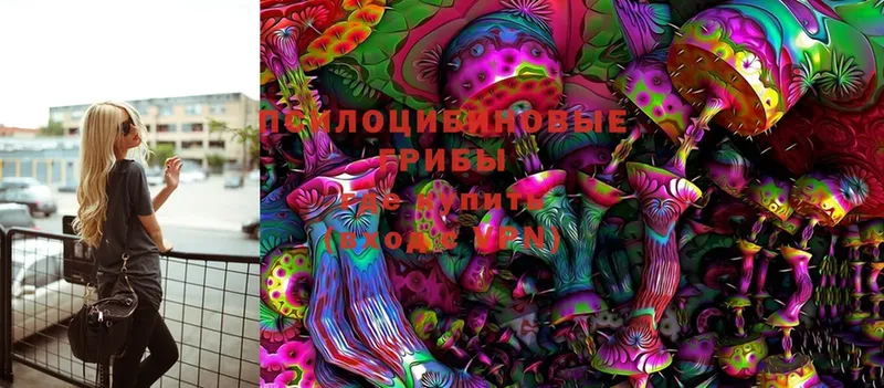 Галлюциногенные грибы MAGIC MUSHROOMS  Северск 