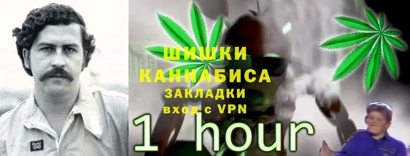 mega рабочий сайт  купить наркотик  Северск  Конопля SATIVA & INDICA 